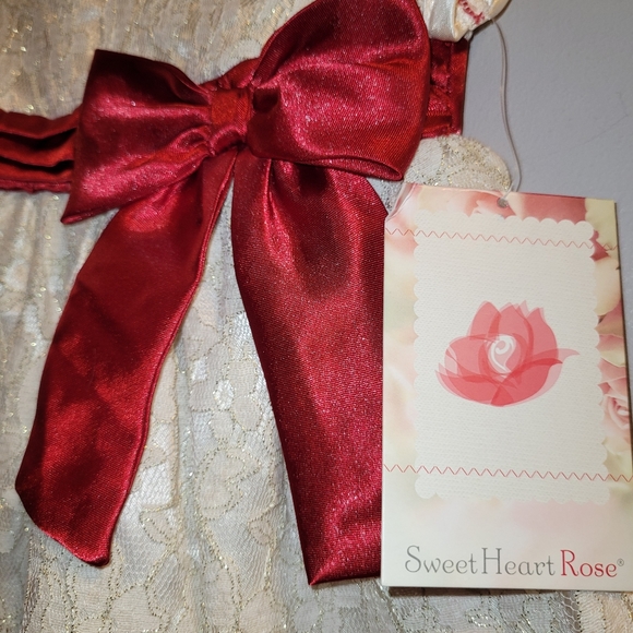 🆕️ Sweet Heart Rose Cream Lace Dress W/ Red Satin Bowp - Picture 4 of 4